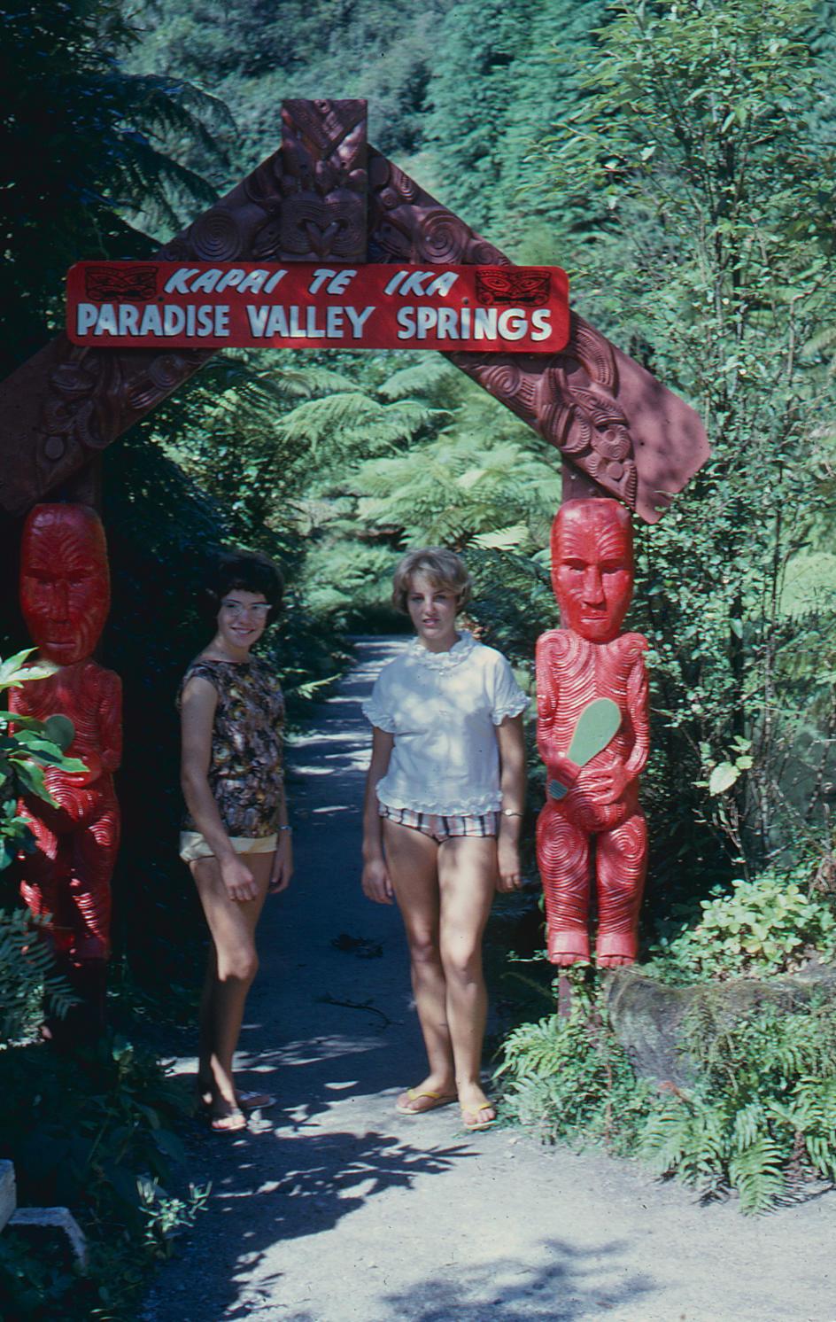 Slide, Paradise Valley Tauranga Heritage Collection