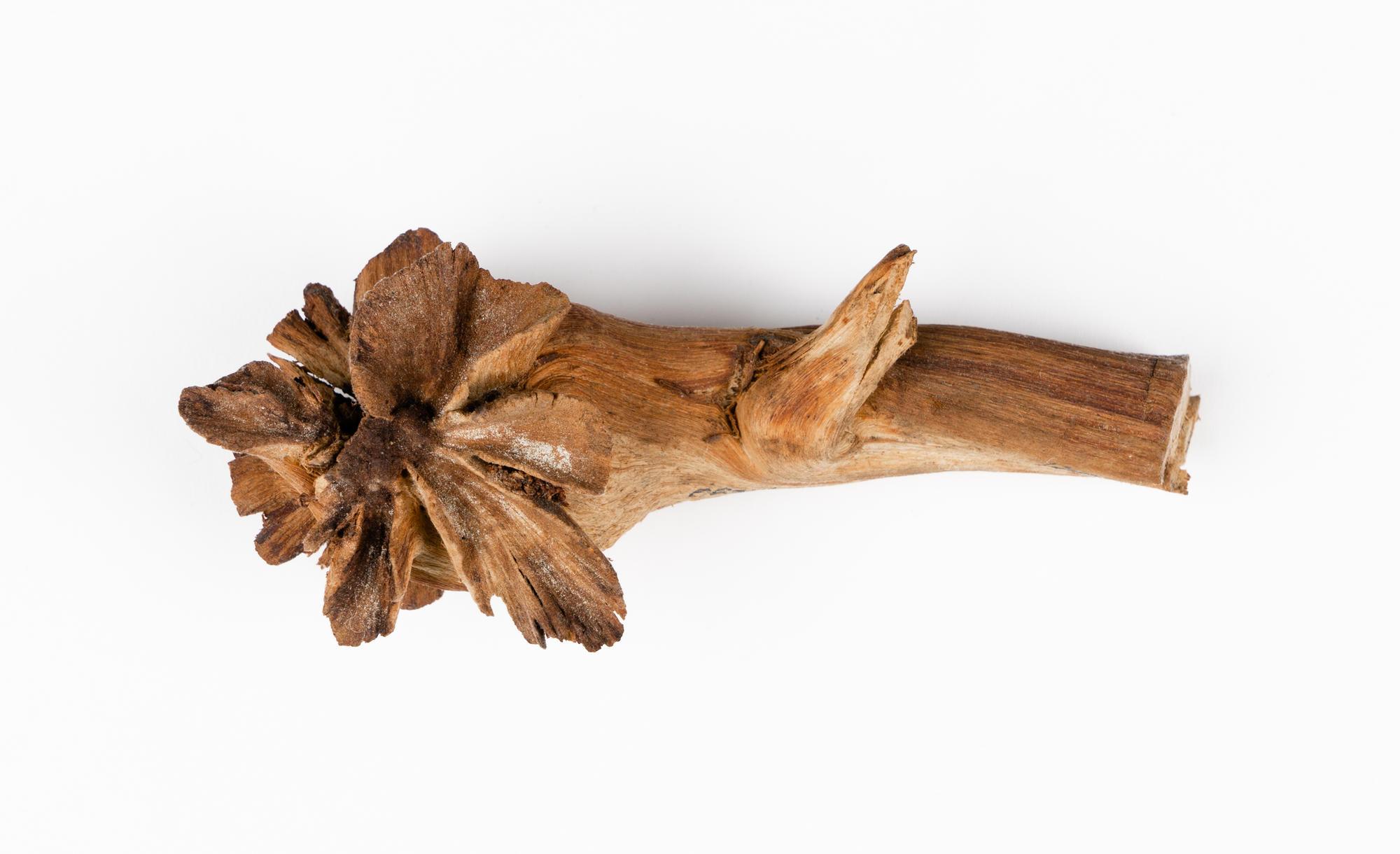 Wood flower Tauranga Heritage Collection