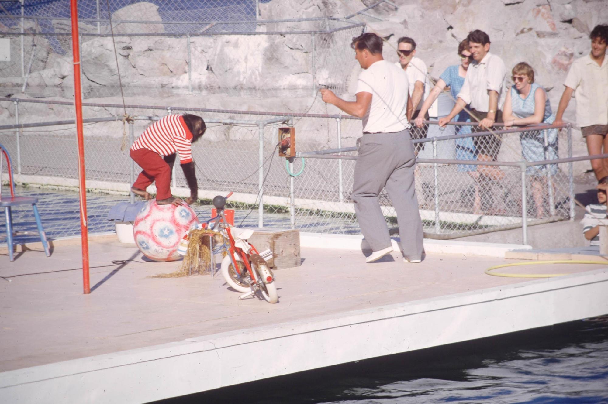 Slide, Marineland, Mount Maunganui Tauranga Heritage Collection