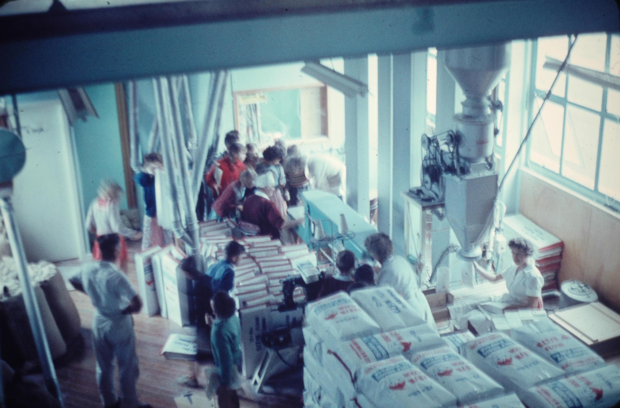 Slide, Flour Mill, Mount Maunganui Tauranga Heritage Collection