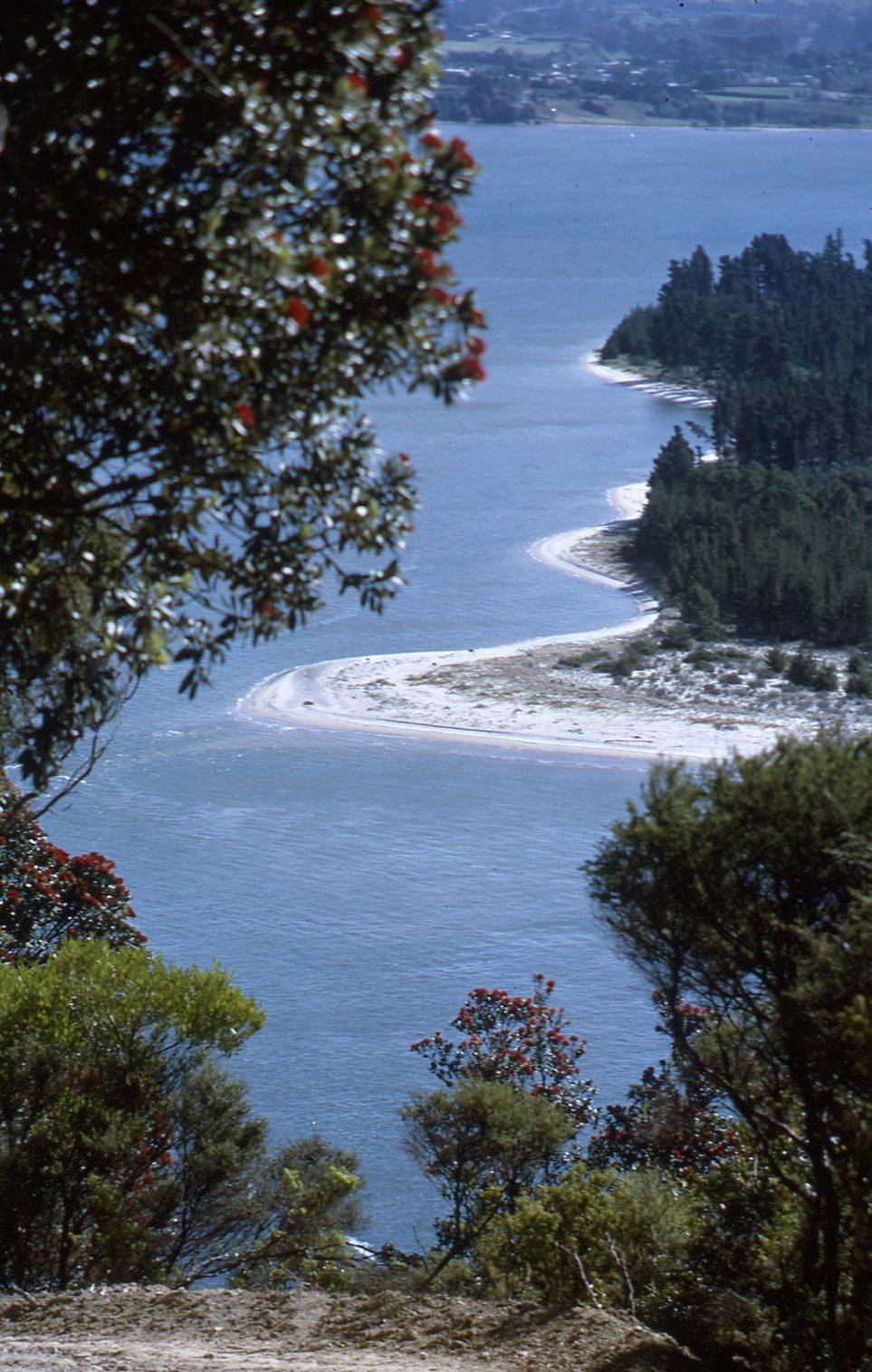 Slide, Matakana Island from Mauao Tauranga Heritage Collection