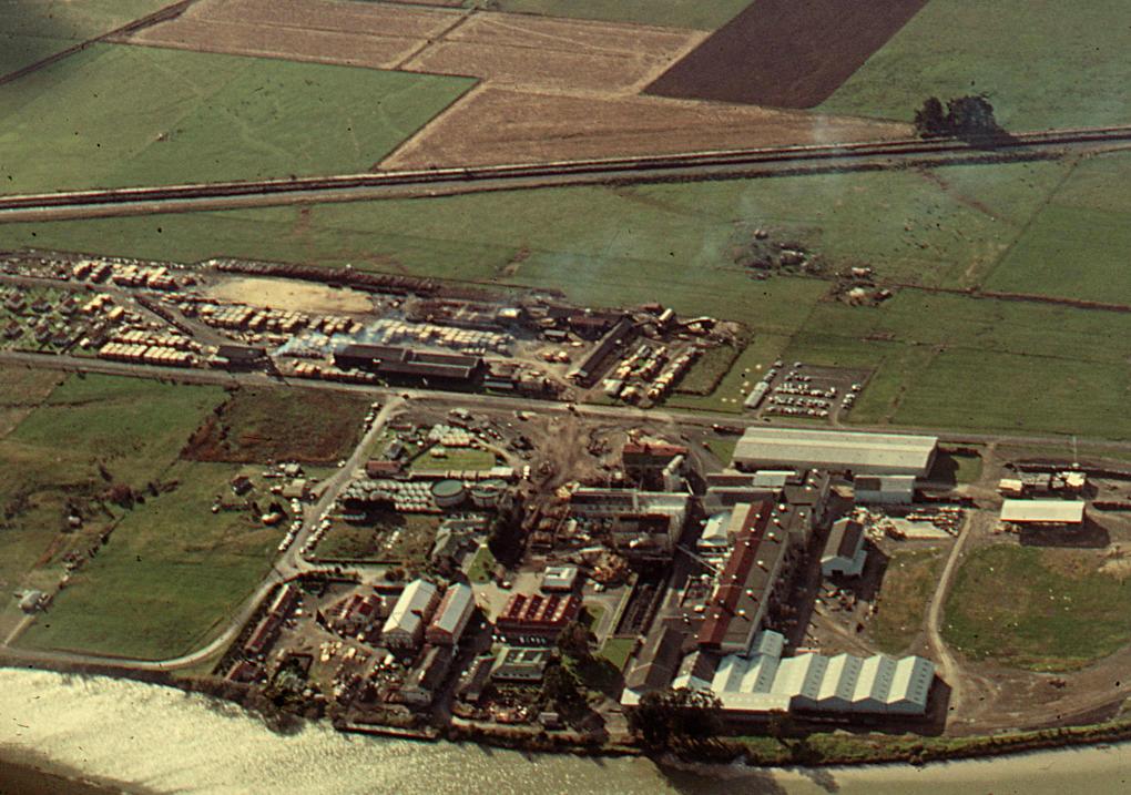 Slide, Board Mill, Whakatāne Tauranga Heritage Collection