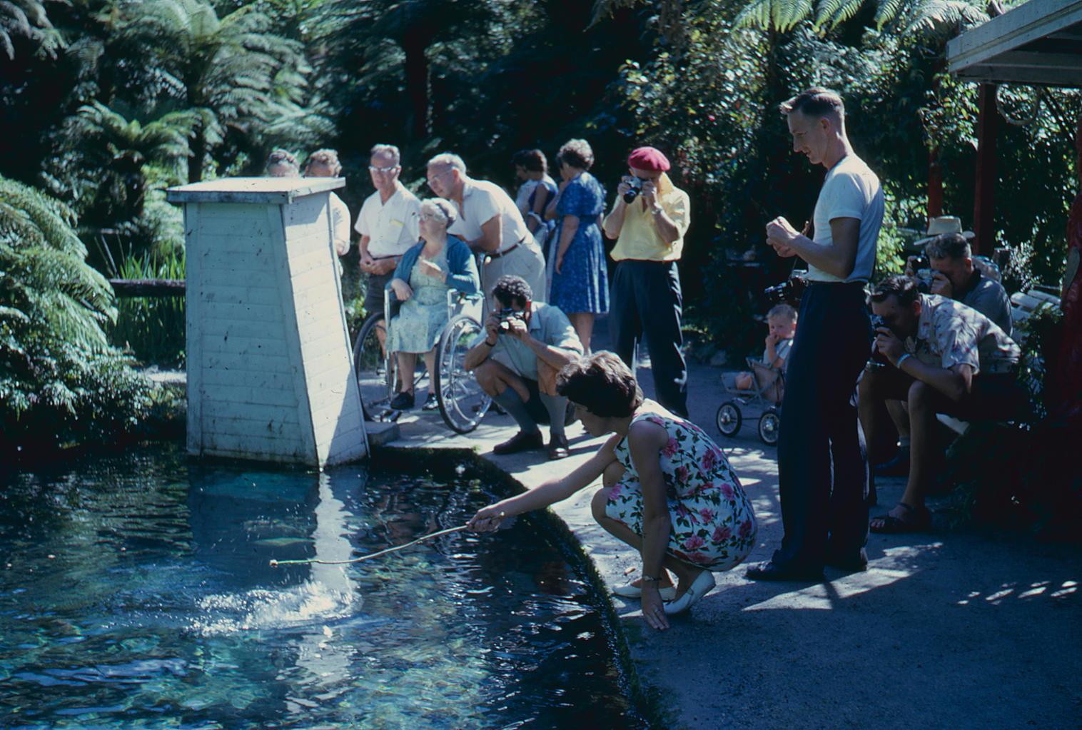Slide, Paradise Valley, Rotorua Tauranga Heritage Collection